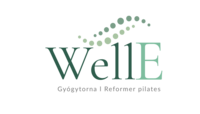 wellefizio.hu