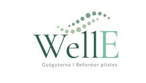 wellefizio.hu